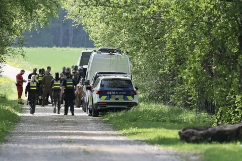 Латвія встановила походження збитого дрона: він виявився українським