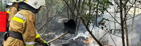 На Миколаївщині через уламки БпЛА сталася пожежа, за добу — 17 займань