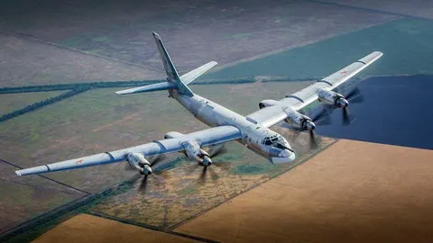 СБУ уразила стратегічний бомбардувальник Ту-95МС