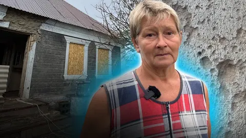 У Лупаревому дрон «Молнія» влучив у будинок: загинули тварини