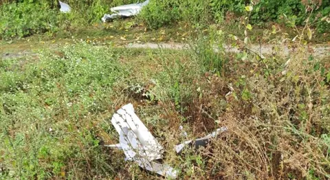 Прикордонники знищили 94 ворожі дрони на Сумщині та Харківщині за добу