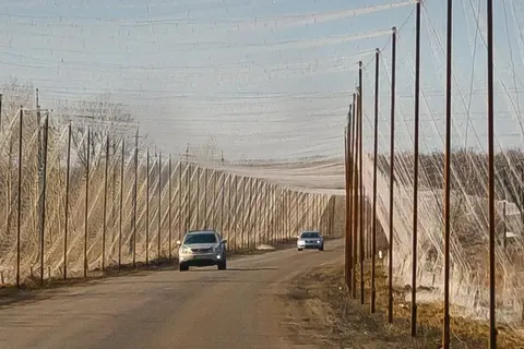 Уряд виділив 789 млн грн на антидроновий захист доріг у п'яти областях