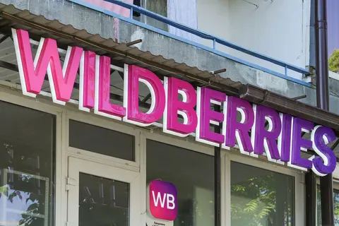 Wildberries закуповує протидронову сітку: витрати можуть сягнути 226 млн рублів