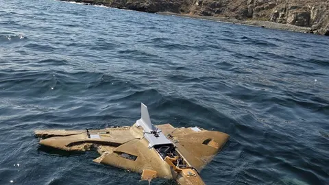 Болгарські військові знищили дрон біля острова Святого Івана