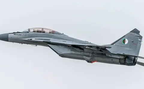 Алжир направив винищувачі Су-30 до Нігеру після заколоту