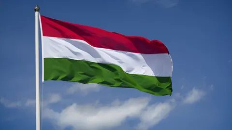 В Угорщині впав Gripen: пілот катапультувався, відвівши літак від міста