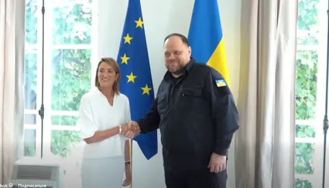 Стефанчук і Мецола обговорили ППО та євроінтеграцію України