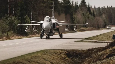 Швеція перекидає Gripen та кораблі до фінсько-російського кордону