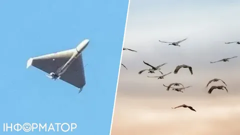 У Литві через зграю птахів підняли винищувачі НАТО й зупинили аеропорт Вільнюса