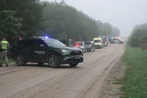 Збитий над Литвою дрон виявився російською «Герберою» — Науседа