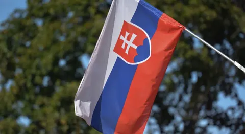 У Словаччині затримали трьох підозрюваних у підготовці підпалу заводу дронів