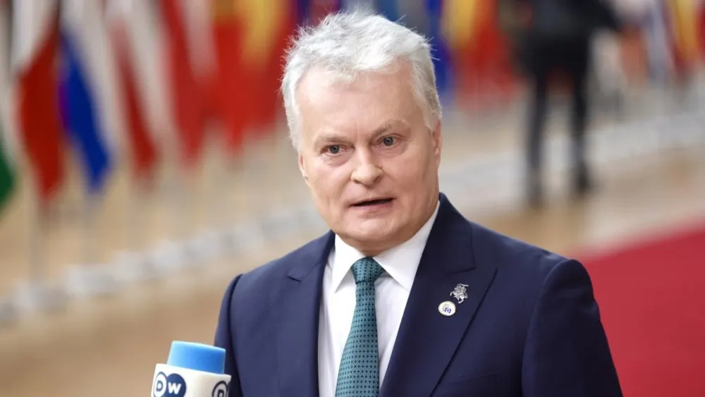 У Литві вперше збили дрон: Науседа каже про російську "Герберу"