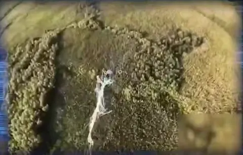 Над Запоріжжям FPV-дрони РФ збивають сіткометами «Пташка»