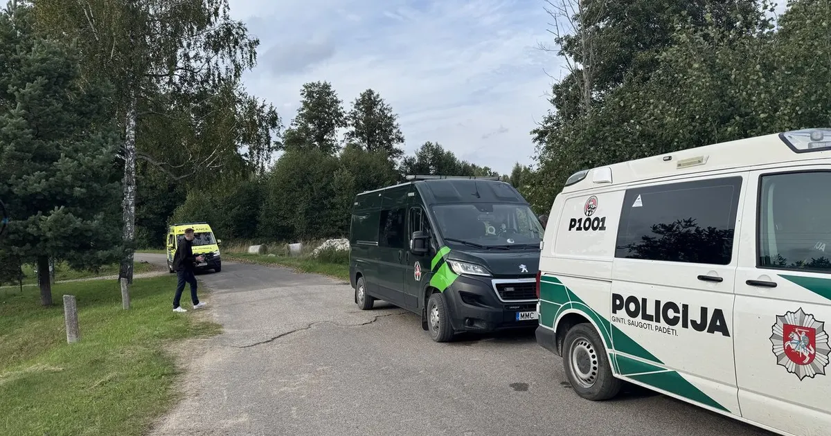 У Литві в лісі виявили дрон: перевіряють версію про українське походження
