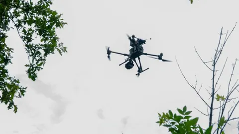 Сили оборони знищили 70 російських дронів над Запоріжжям за добу