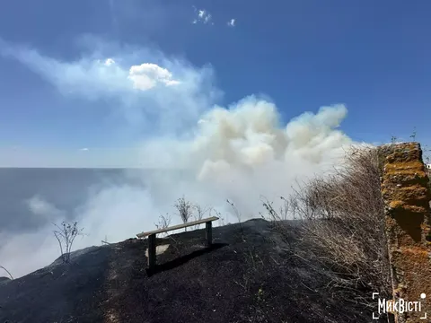 Пожежа в Дунайському заповіднику через уламки БПЛА: збитки — 21,5 млн грн