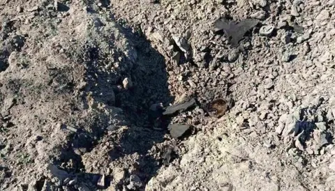 У Молдові знайшли уламки дрона поблизу кордону з Україною