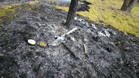 Через падіння російських БпЛА на Чернігівщині сталося 17 пожеж на площі 10,8 га